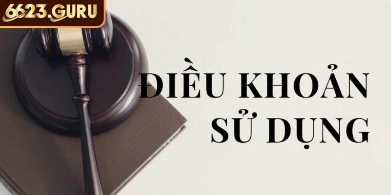 Độ tuổi tham gia
