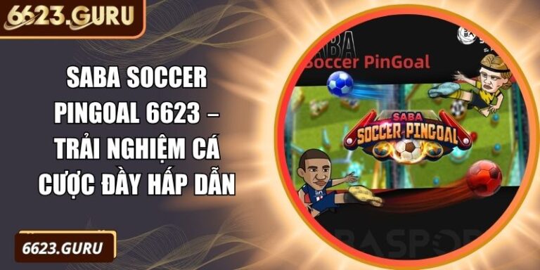 Saba Soccer Pingoal 6623